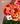Corazón 3D gerberas arcoíris