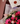 Bouquet gerbera 10 Tulipan
