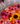 Bouquet 60 gerberas girasol nube