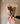 Bouquet premium tulipan