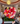 Corazón 3D gerberas arcoíris