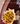 Bouquet 30 girasoles ruscus fly