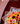Bouquet 24 gerberas girasol nube