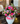 Cilindro rosa mix