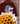Bouquet 50 girasoles fino