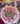 Bouquet 100 rosas corazón Ferrero