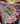 Bouquet 300 rosas 30 tulipanes