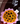 Bouquet 20 girasoles vestido