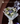 Bouquet blanco con Hortencia