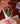 10 tulipan yute