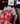 Bouquet 100 colores Lety