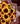 Bouquet 15-12 roja mix