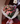 Bouquet Rosetta