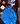 Bouquet 250 azules