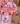 Cilindro pink Bloom