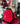 Bouquet 150 rojas Alicia