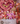 Cilindro corazón Pink