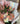 Bouquet 24 rosas 10 tulipanes