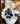 Bouquet 24 azul/blanca/ premium