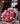 Bouquet 100 colores Lety