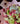 Bouquet vie rose
