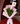 Bouquet 5 tulipanes