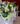 Ivory Garden