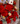 Bouquet brillo imperial