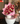 Bouquet 50 Rosas