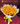 Bouquet 20 Gerberas Amarillas