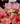 Bouquet gerberas ternura