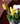 Florero 5 tulipanes