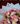 Bouquet vie rose
