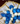 Bouquet 24 azul/blanca/ premium