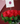 Florero 24 rosas