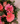 Bouquet vintage