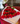 24 rosas escalonadas