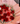 Bouquet 24 rosas nube