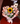 Arreglo delicate
