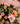 Bouquet vintage