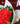 Bouquet 24 rosas con clavo
