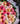 Bouquet 36 Gerberas
