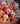 Bouquet 24 gerberas