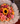 Bouquet 24 gerberas girasol nube