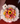 Bouquet 24 gerberas girasol nube