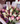 Bouquet 24-5 tulipán