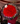 Bouquet 200 rosas lety