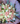 Bouquet bruma