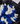 Bouquet 50 azul/blanca