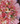 Bouquet princesa tulipán